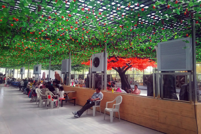 生態餐廳熱水暖風機案例實拍